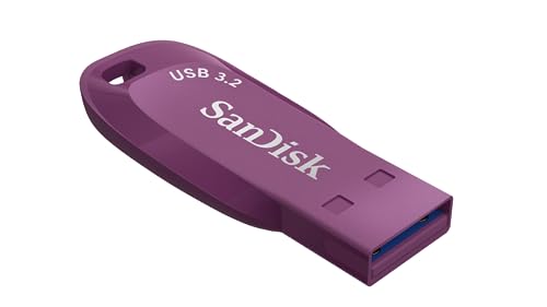 SanDisk 256GB Extreme Go SDCZ810-256G-G46 USB 3.2 Flash Drive